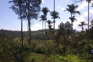 Rural Development Hub